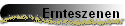 Ernteszenen