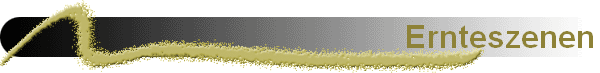 Ernteszenen