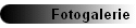 Fotogalerie